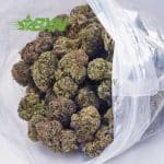 Buy Master Jedi AAAA at BudExpressNOW Online Shop