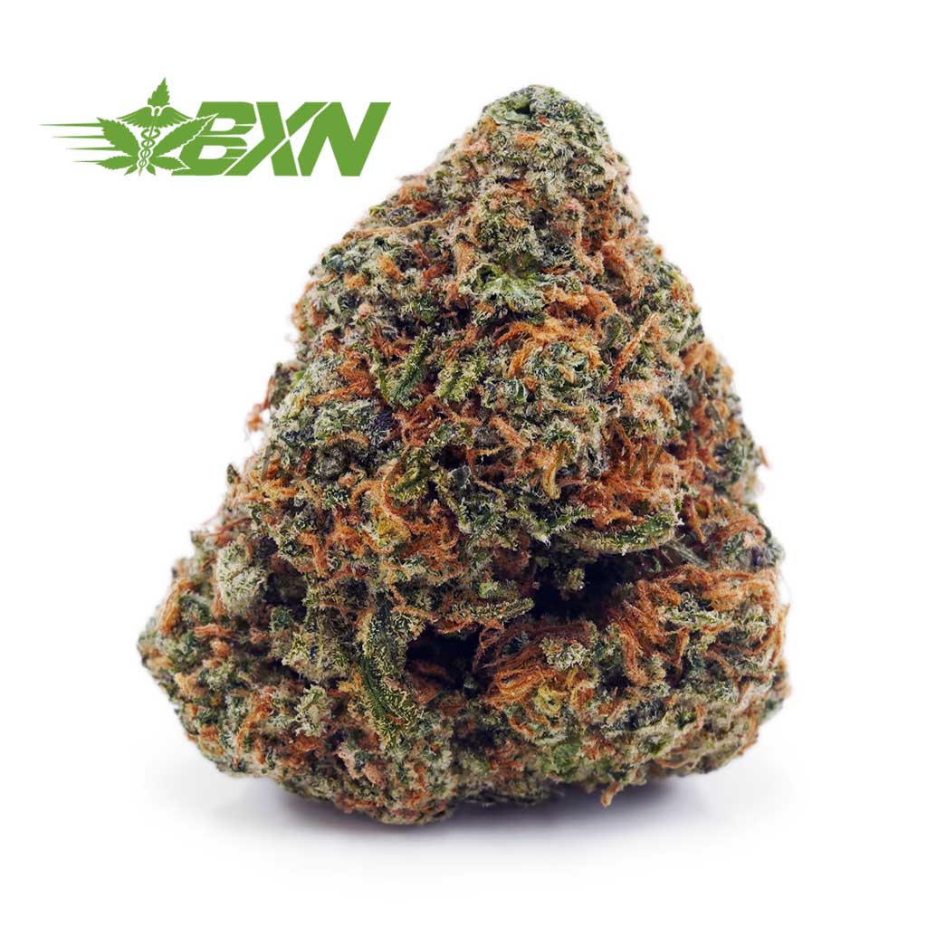 Buy Biscotti AAA at BudExpressNOW Online Shop.