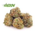 Buy Purple Dream AAAA (Popcorn) at BudExpressNOW Online Shop
