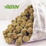 Buy Purple Dream AAAA (Popcorn) at BudExpressNOW Online Shop