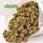 Buy Tutti Frutti AAAA (Popcorn) at BudExpressNOW Online Shop