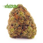 Buy Blueberry Rockstar AA at BudExpressNOW Online