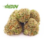 Buy Night Nurse AAAA (Popcorn) at BudExpressNOW Online Shop