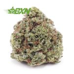 Buy Pineapple Kush AAA at BudExpressNOW Online Shop