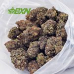 Buy AK-47 AAA at BudExpressNOW Online Shop