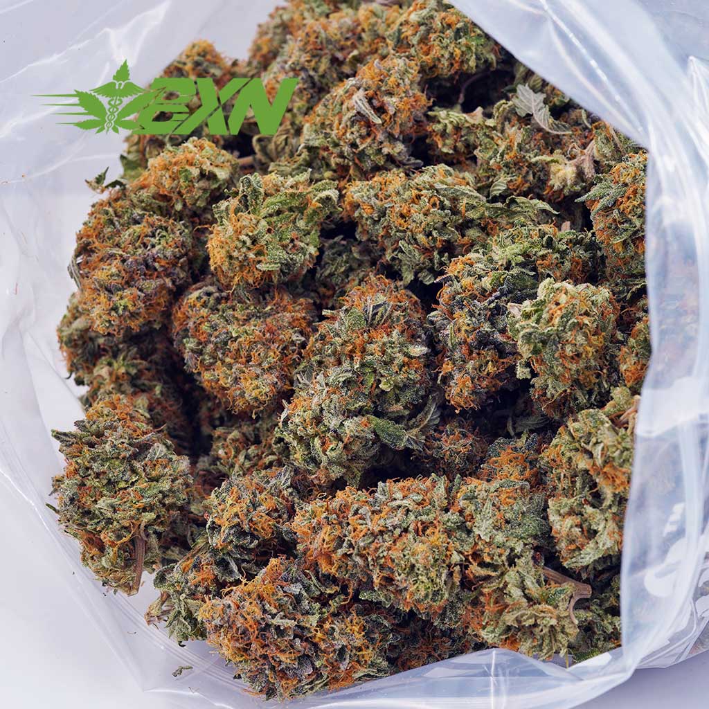 DA ROCKSTAR BXN Buy Rockstar AA at BudExpressNOW Online Shop.