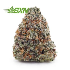 Buy Cherry Pie AA at BudExpressNOW Online Shop