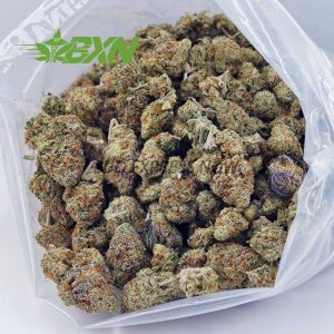 Buy Cherry Pie AA at BudExpressNOW Online Shop