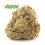 Buy Island Sweet Skunk AAA at BudExpressNOW Online Shop