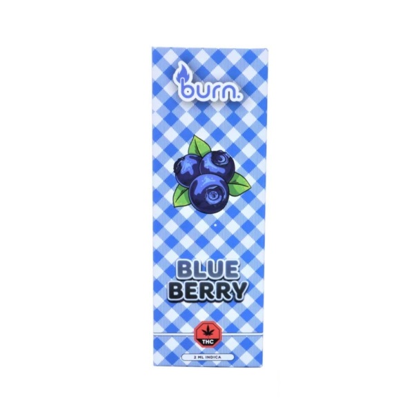 Buy Burn Extracts - Blueberry 2ML Mega Sized Disposable Pen at BudExpressNOW Online Shop