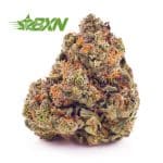 Buy Lemon Kush AA at BudExpressNOW Online Shop
