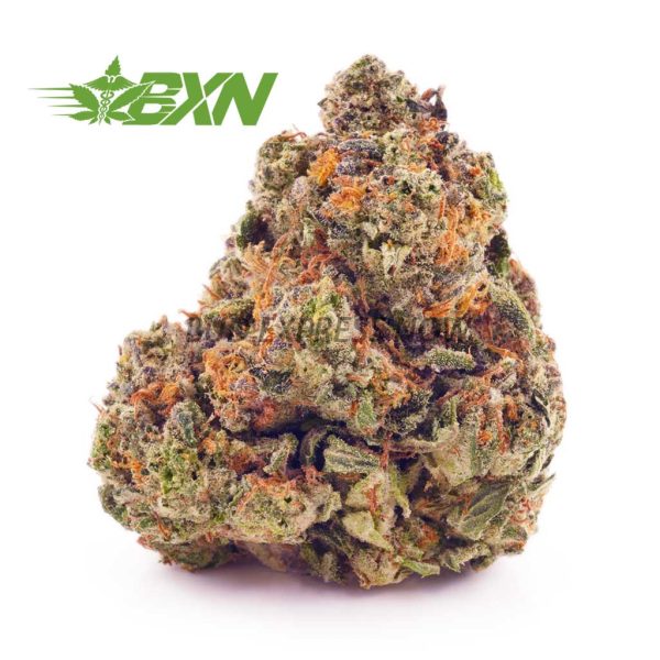 Buy Lemon Kush AA at BudExpressNOW Online Shop