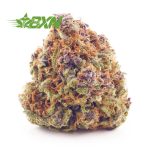 Buy Cherry Haze AA at BudExpressNOW Online Shop