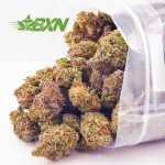 Buy Cherry Haze AA at BudExpressNOW Online Shop