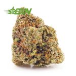 Buy Strawberry Amnesia AAAA at BudExpressNOW Online Shop