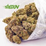 Buy Strawberry Amnesia AAAA at BudExpressNOW Online Shop