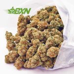 Buy GMO Cookies AA at BudExpressNOW Online Shop