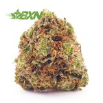 Buy Blue God AA at BudExpressNOW Online Shop