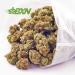 Buy Blue God AA at BudExpressNOW Online Shop