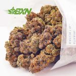 Buy Purple Gas AAAA at BudExpressNOW Online Shop