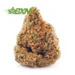 Buy Blue Amnesia AA at BudExpressNOW Online Shop