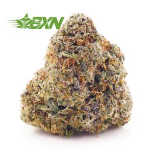 Buy Lychee Kush AAAA at BudExpressNOW Online Shop