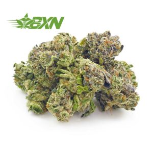 Buy Jet Fuel Gelato AAAA (Popcorn) at BudExpressNOW Online Shop