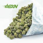 Buy Jet Fuel Gelato AAAA (Popcorn) at BudExpressNOW Online Shop