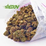 Buy Sour Amnesia AA at BudExpressNOW Online Shop