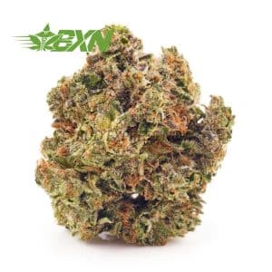 Buy Candy Land AA at BudExpressNOW Online Shop.