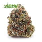 Buy Blueberry Kush AA at BudExpressNOW Online Shop.