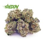 Buy Sunset Sherbert AAAA (Popcorn) at BudExpressNOW Online Shop