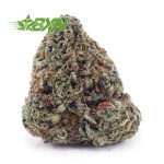 Buy God Bud AA at BudExpressNOW Online Shop