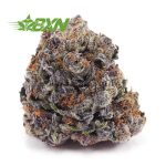 Buy Grape Kush AAAA at BudExpressNOW Online Shop