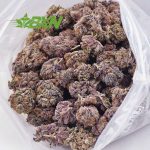 Buy Grape Kush AAAA at BudExpressNOW Online Shop