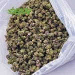 Buy El Jefe AAAA (Popcorn) at BudExpressNOW Online Shop