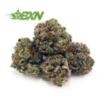 Buy Green Goblin AAAA (Popcorn) at BudExpressNOW Online Shop