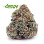 Buy Candyland AA at BudExpressNOW Online Shop