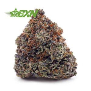 Buy Motor Breath #15 (Craft) at BudExpressNOW Online Shop