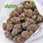 Buy Tropical Haze AAAA at BudExpressNOW Online Shop