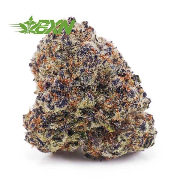 Buy Blackberry Kush AAAA at BudExpressNOW Online Shop.