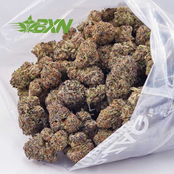 Buy Blackberry Kush AAAA at BudExpressNOW Online Shop.