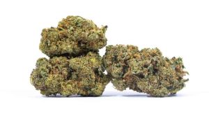 You can get the Gas Monkey strain and other amazing budget buds at the best online dispensary in Canada, BudExpressNOW. 