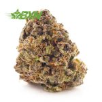 Buy Dank Ocean AAAA (Popcorn) at BudExpressNOW Online Shop