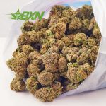 Buy Dank Ocean AAAA (Popcorn) at BudExpressNOW Online Shop