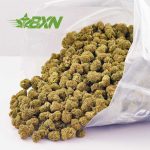 Buy Blue Cheese AAAA (Popcorn) at BudExpressNOW Online Shop