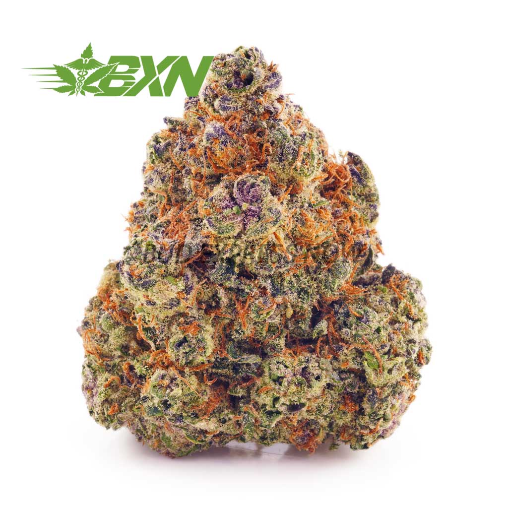 Buy Blueberry Icewreck AAAA at BudExpressNOW Online Shop