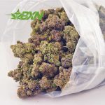 Buy Platinum Jelly Breath AAAA at BudExpressNOW Online Shop