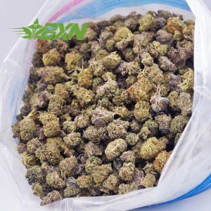 A bag of green and purple gushers weed buds
