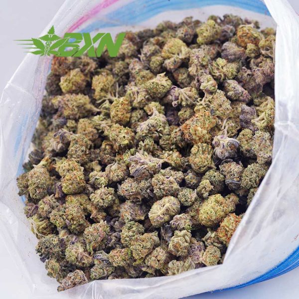 A bag of green and purple gushers weed buds